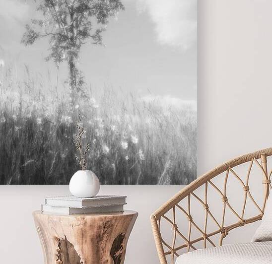 Rowan Tree in Glossy Monochrome Too by Catriona Roberts Nature Photography and Designs