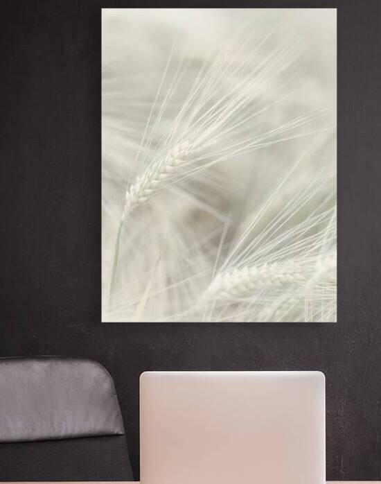 Wheat Wash 2 by Assaf Frank