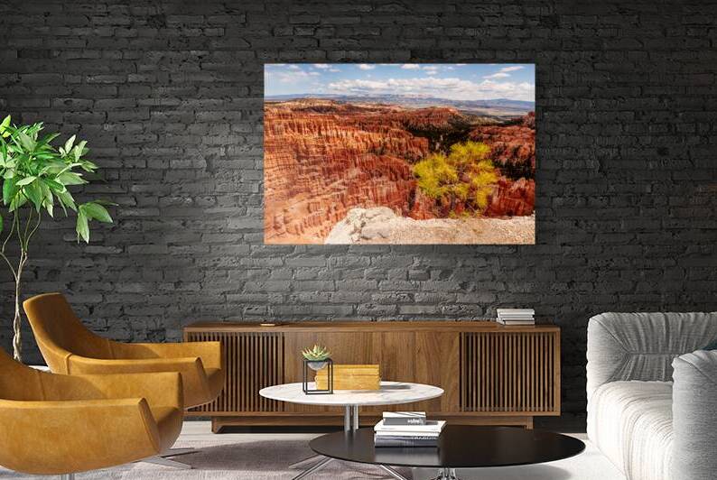 Tree On Edge At Inspiration Point by Jennifer White