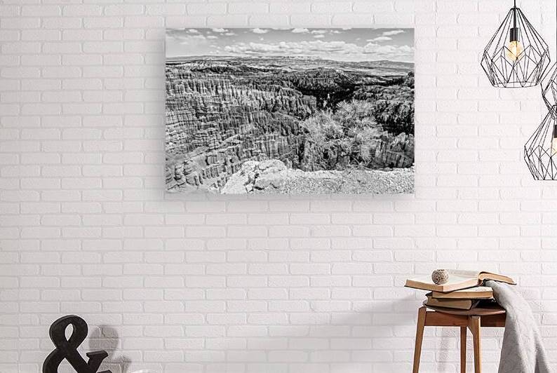 Tree On Edge At Inspiration Point Grayscale by Jennifer White