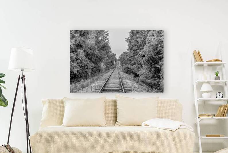 Ozarks Abandoned Railroad Tracks Grayscale by Jennifer White