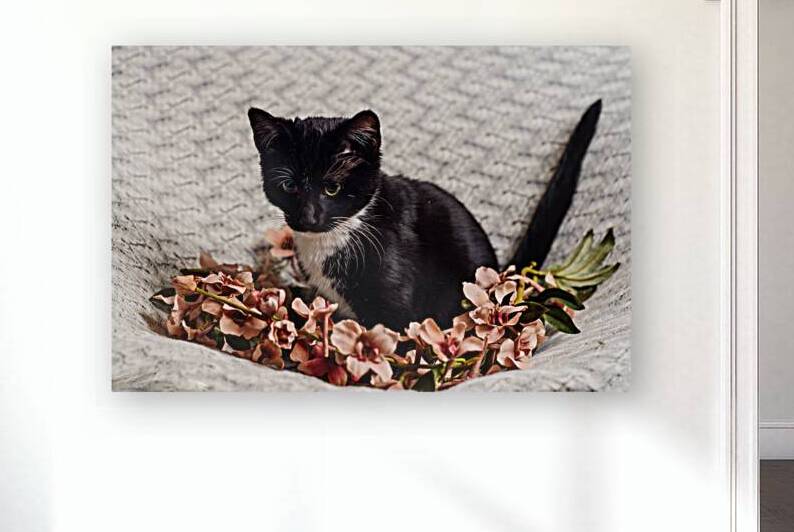 Magpie Portrait With Flowers by Jennifer White