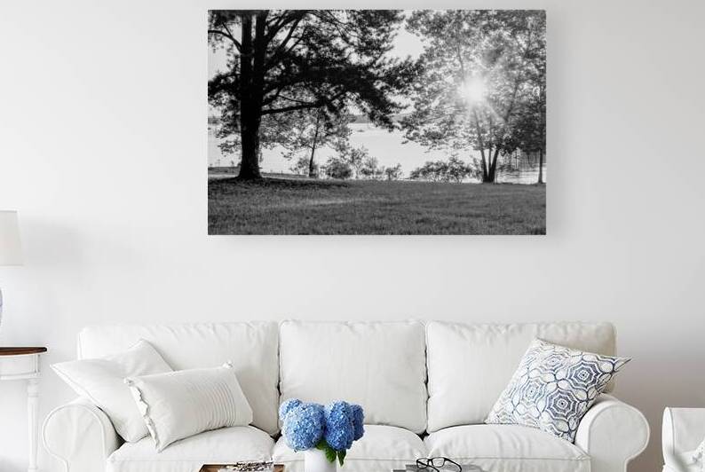 Table Rock Lake Morning Sunburst Fishing Graycale by Jennifer White