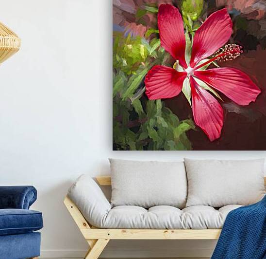 Star of Texas Swamp Hibiscus Bloom X14 3 by Rich Franco