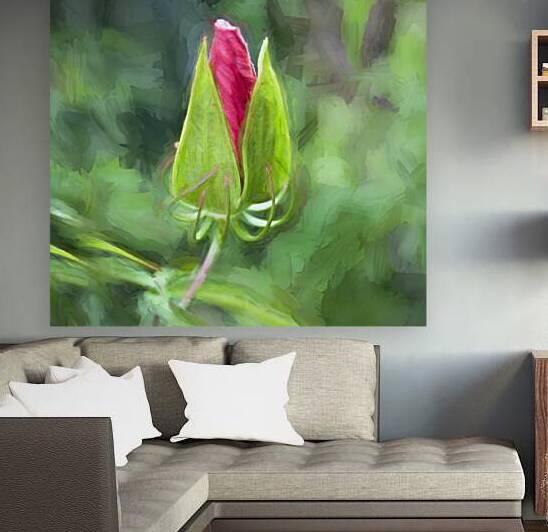 Star of Texas Swamp Hibiscus Bloom X14 1 by Rich Franco