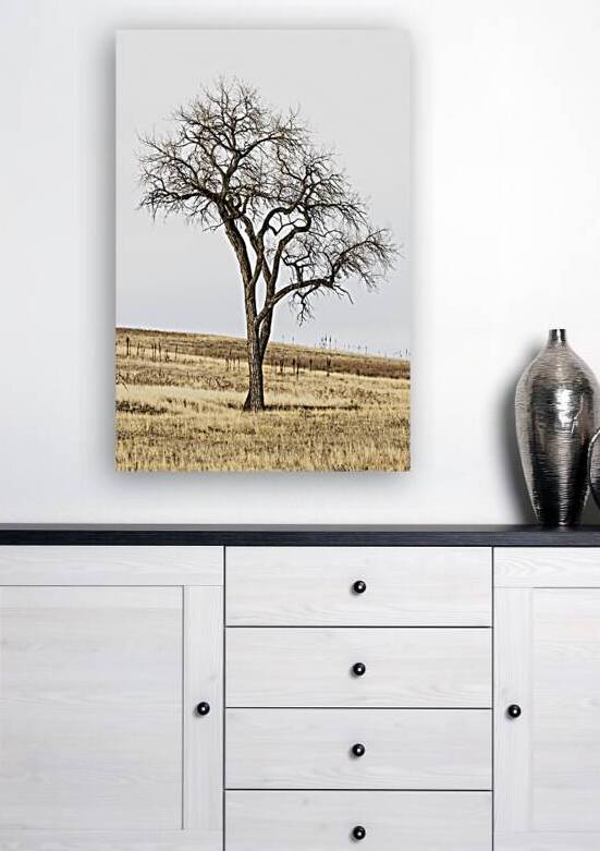 Solitude in Twisted Branches by B Zolle