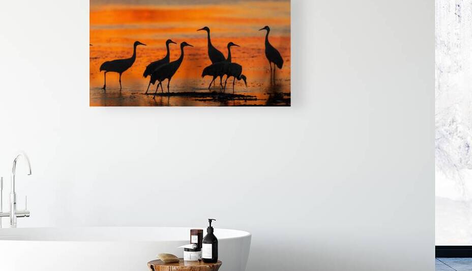 Sandhills at Sunset by Joe Riederer