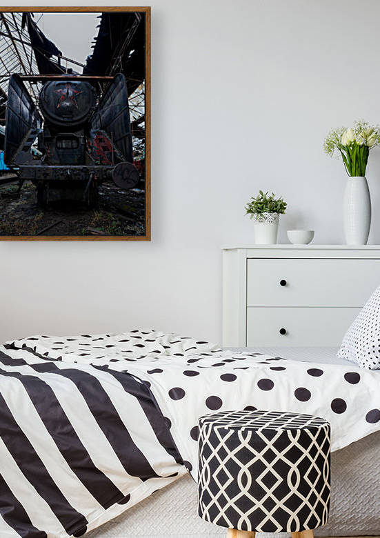 Abandoned Soviet Red Star Train by Steve Ronin