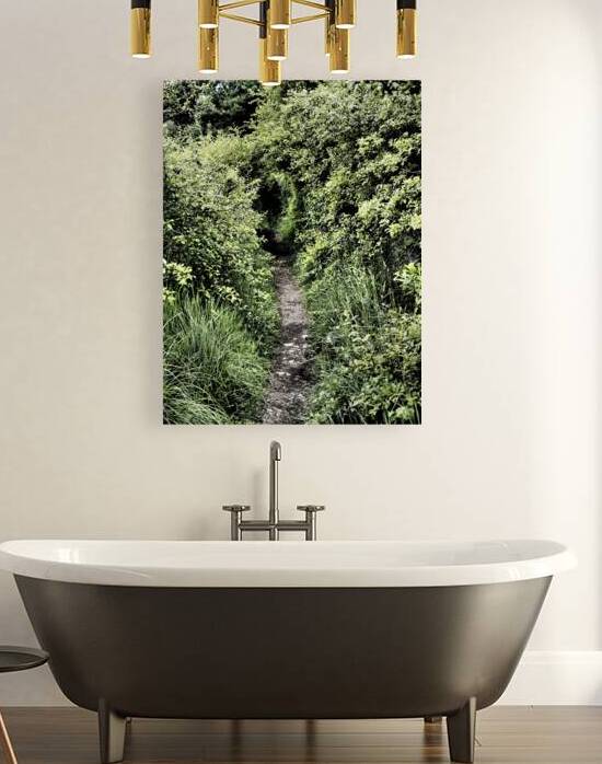 Secret Trail through the Scottish Highlands                                                                                                                      by Catriona Roberts Nature Photography and Designs