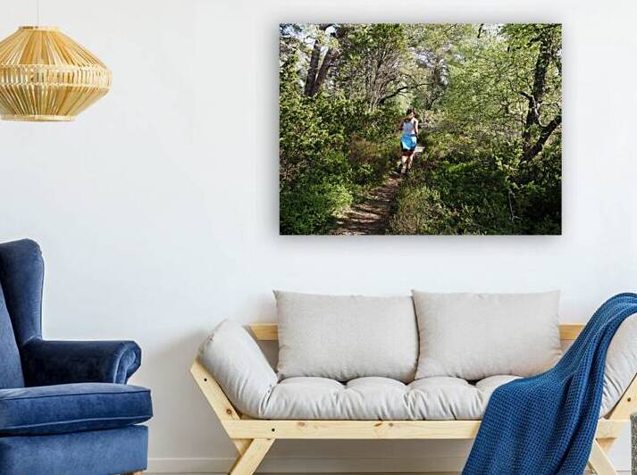 Scottish Highlands Trail Runner                                                                                                                      by Catriona Roberts Nature Photography and Designs