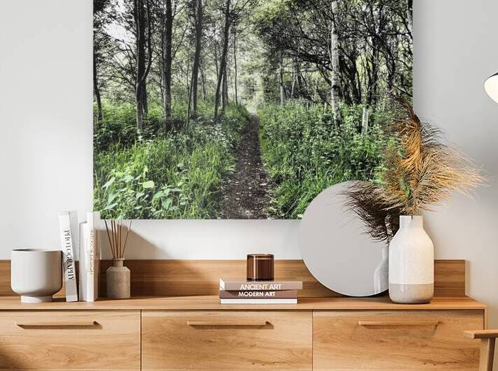 Natures Colourful Flow through the Scottish Highlands                                                                                                                      by Catriona Roberts Nature Photography and Designs