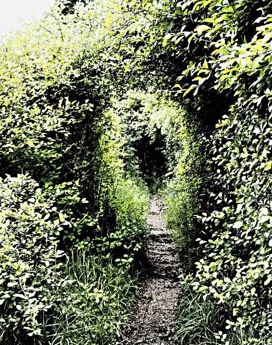 Natures Flow through the Scottish Highlands                                                                                                                      by Catriona Roberts Nature Photography and Designs
