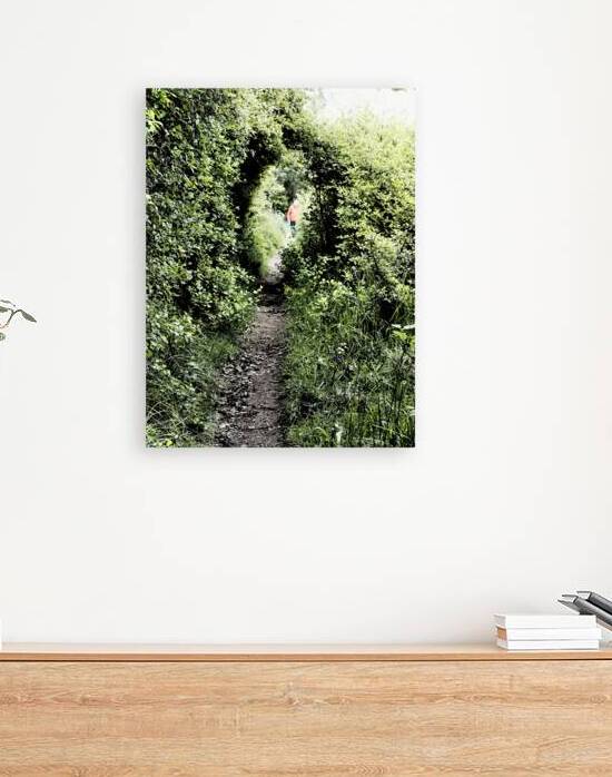 Scottish Highlands Spring Nature Trail                                                                                                             by Catriona Roberts Nature Photography and Designs