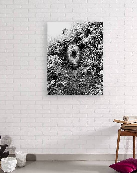   Natures Corridor through the Scottish Highlands                                                                                                                      by Catriona Roberts Nature Photography and Designs