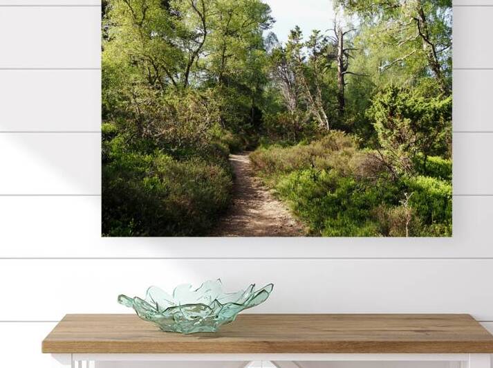  Springs Salute for the Scottish Highlands                                                                                                                     by Catriona Roberts Nature Photography and Designs