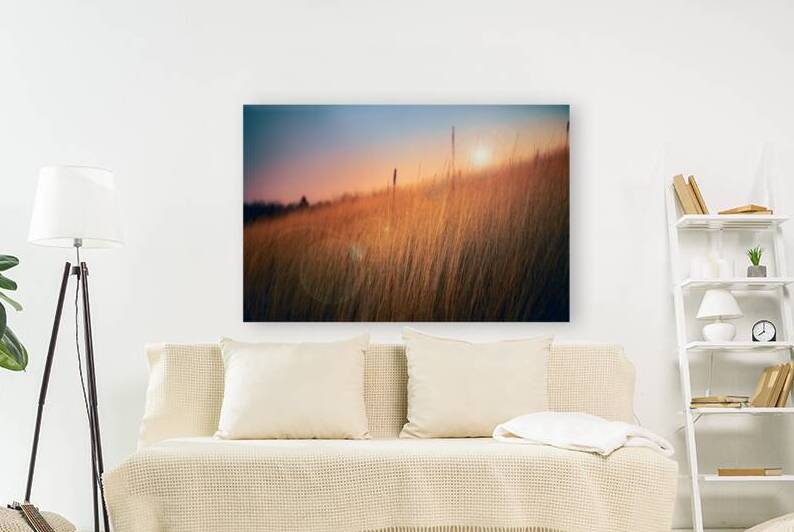 Winter Grass on the Preserve by Jason Fink