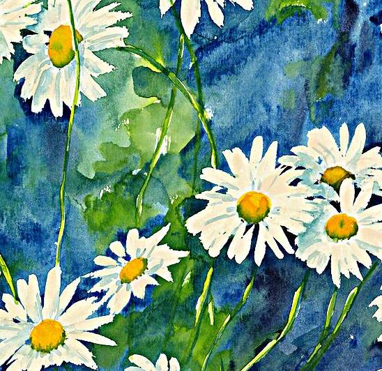 Daisies watercolor painting by Karen Kaspar