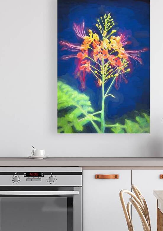 Red and Orange Caesalpinia Blossoms X1 3 by Rich Franco