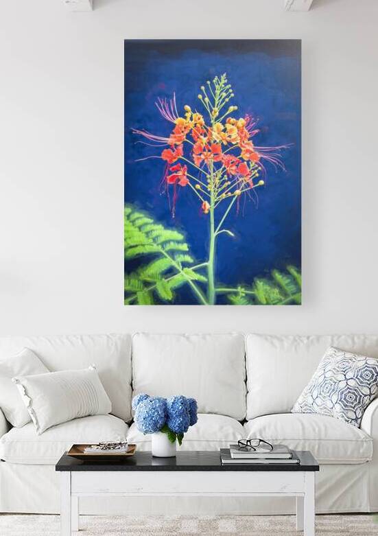 Red and Orange Caesalpinia Blossoms X1 4 by Rich Franco