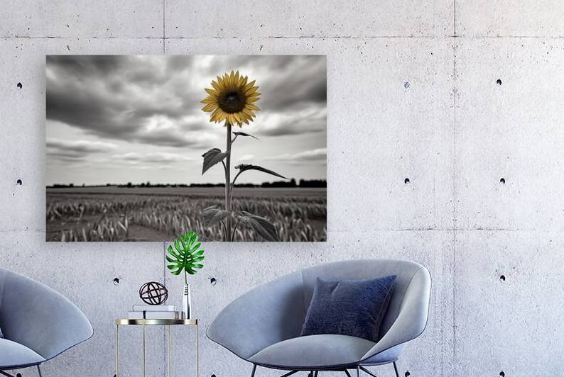Hope In Contrast - Minimal Sunflower Art Prints by Savage Art Prints