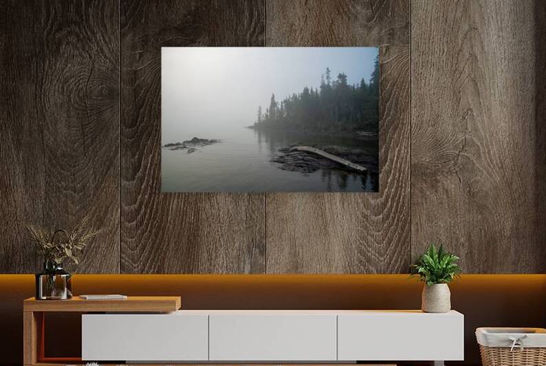 Makay Cove Bent Driftwood Print by Stephen Emms