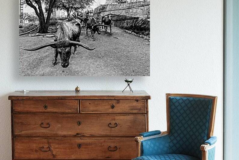 Looking Down Dallas Bull Run Grayscale by Jennifer White