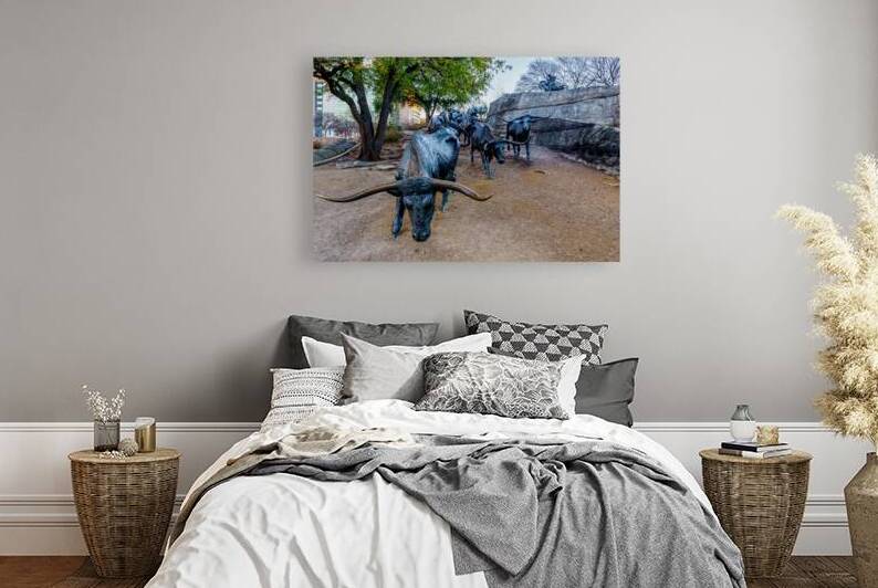 Looking Down Dallas Bull Run by Jennifer White