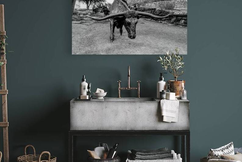 Bull Steer Statue Dallas Grayscale by Jennifer White