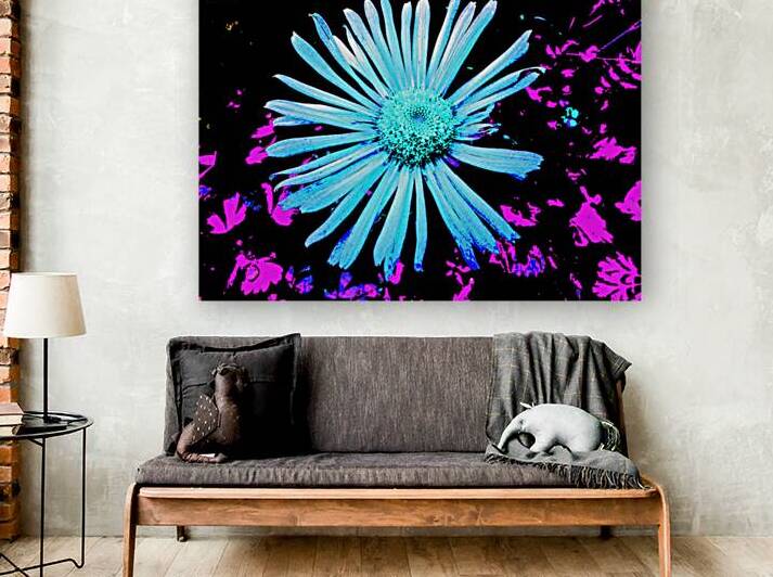 Abstract Blue and Pink Daisy by Catriona Roberts Nature Photography and Designs