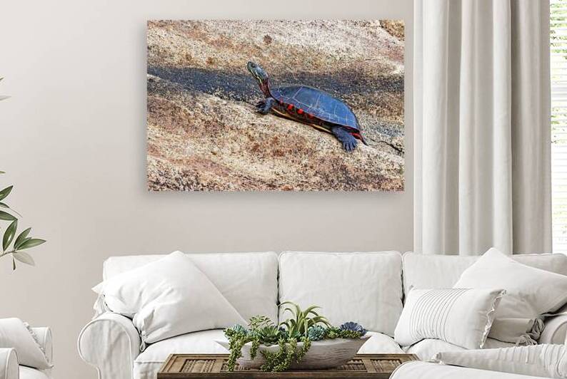 Sticking It s Neck Out by Deb Oppermann