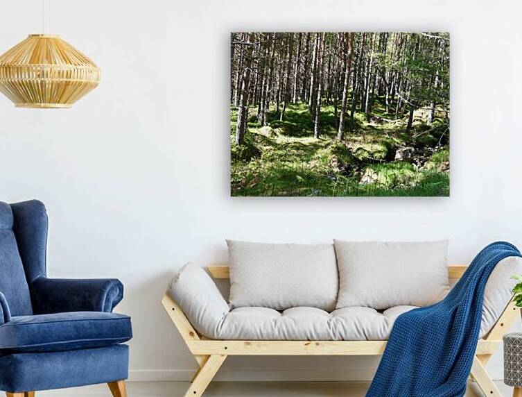 Scottish Highlands Gentle Stream by Catriona Roberts Nature Photography and Designs