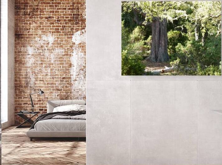 Scottish Highlands Ancestral Forest by Catriona Roberts Nature Photography and Designs