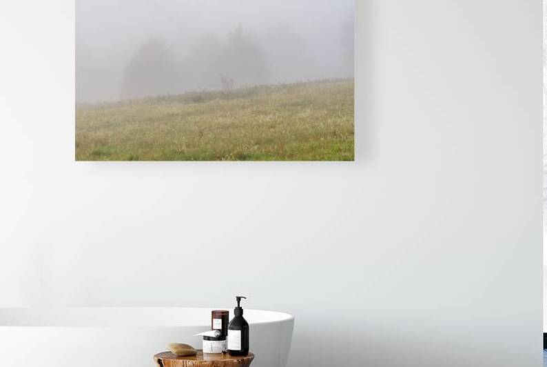 Find The Horses In The Fog by Jennifer White