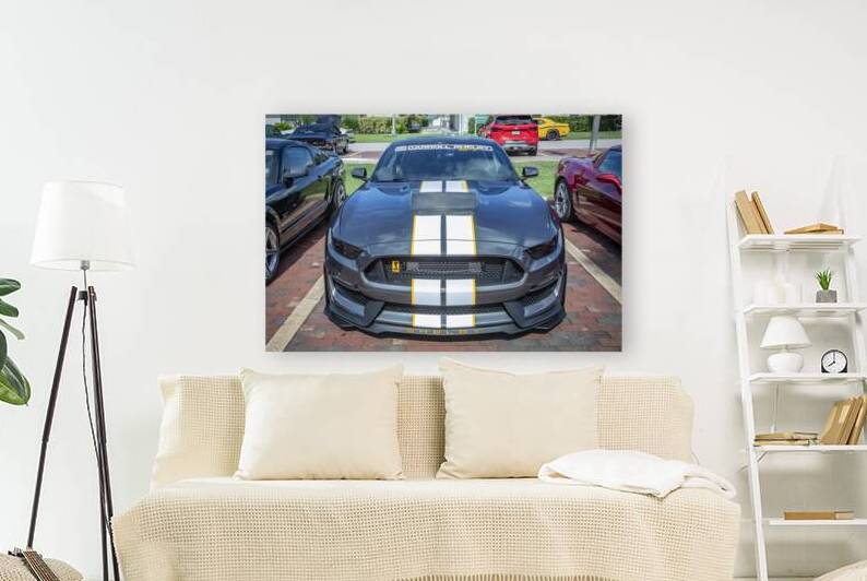 2016 Gray Ford Shelby Mustang GT350 X1 1 by Rich Franco