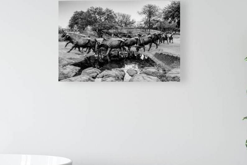 Dallas Bull Run Creek Crossing Grayscale by Jennifer White