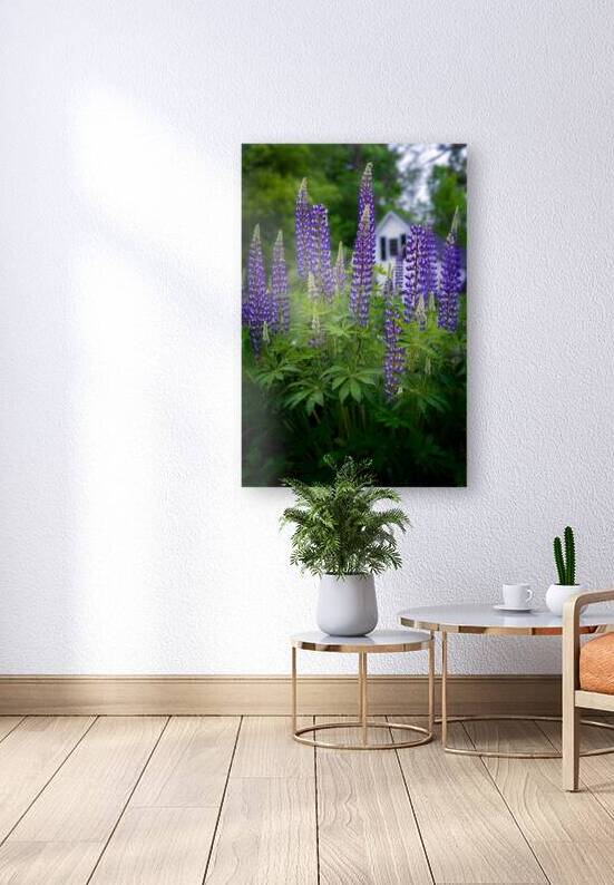 New England Bloom by Rick Berk