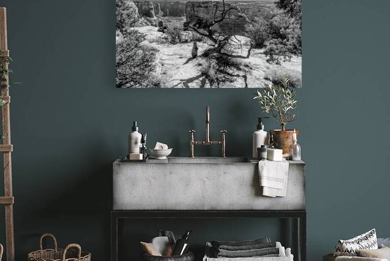 Crooked Tree At Spider Rock Grayscale by Jennifer White