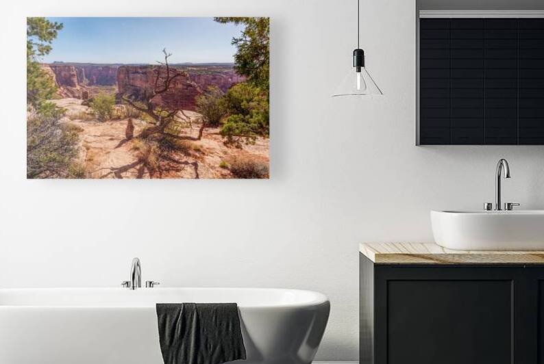 Crooked Tree At Spider Rock by Jennifer White