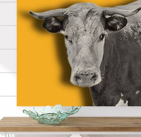 Farm Cow Original Abstract Photography on Dark Yellow Background by By:Zo Art Print Collection   by Maria Desnoyers