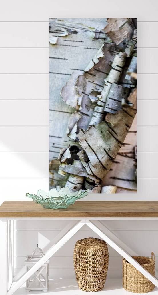 07 Birch Bark Macro by Eden Remme Watt