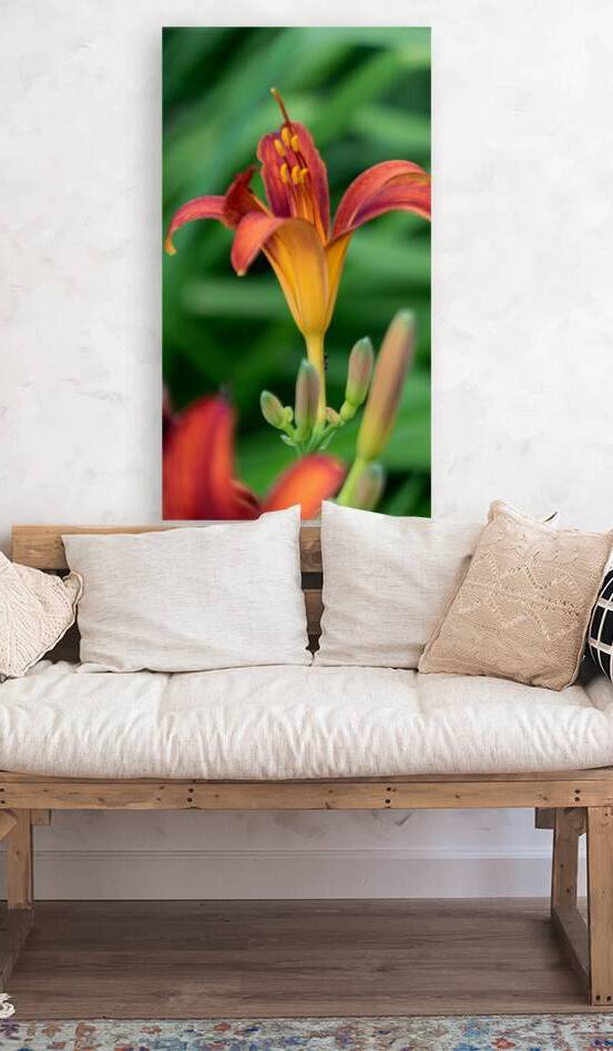 10 Lily Up Close by Eden Remme Watt