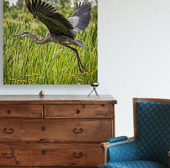 15 Blue Heron Take off by Eden Remme Watt