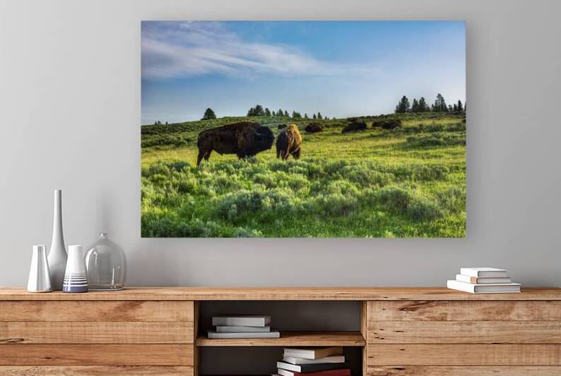 Herd Master by Gary M Slane