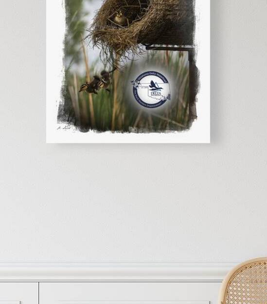Delta Waterfowl Oklahoma  by Kenneth Laird Studios