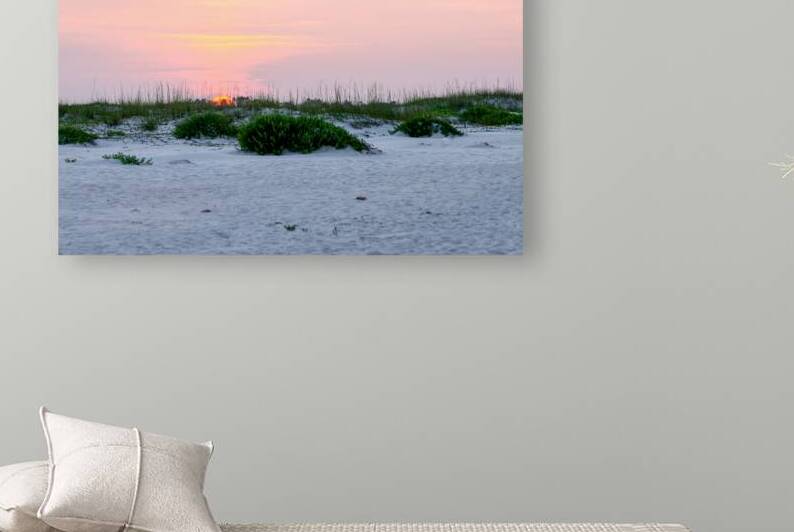 Here Comes The Sun In Navarre by Jennifer White