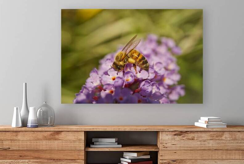 Honeybee On Purple Butterfly Bush Flower 0708 by Iris H Richardson