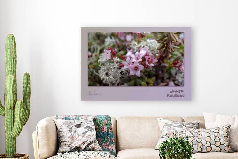 Plate-bande boreale by Marco Levasseur