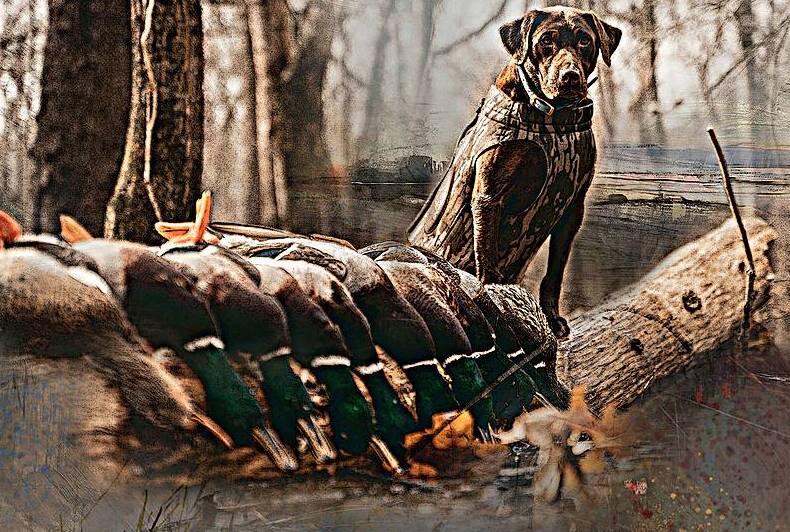 Jennings  by Kenneth Laird Studios