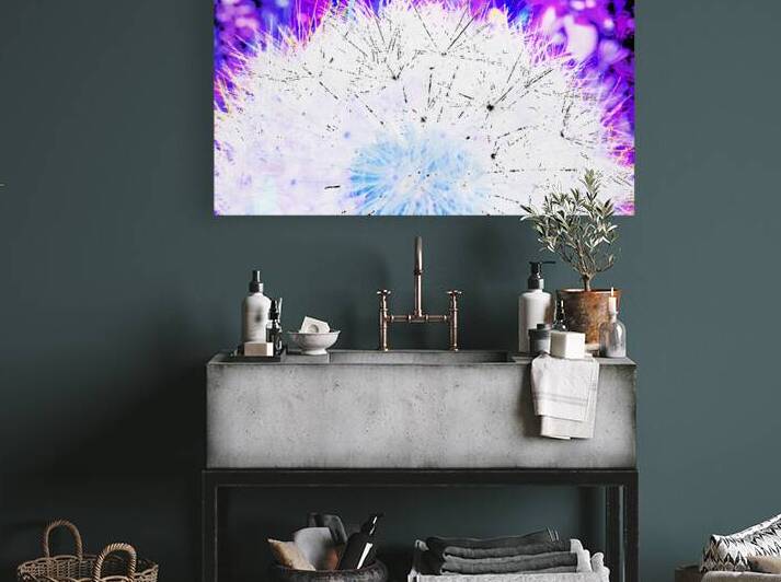 Abstract Surreal Dandelion by Catriona Roberts Nature Photography and Designs