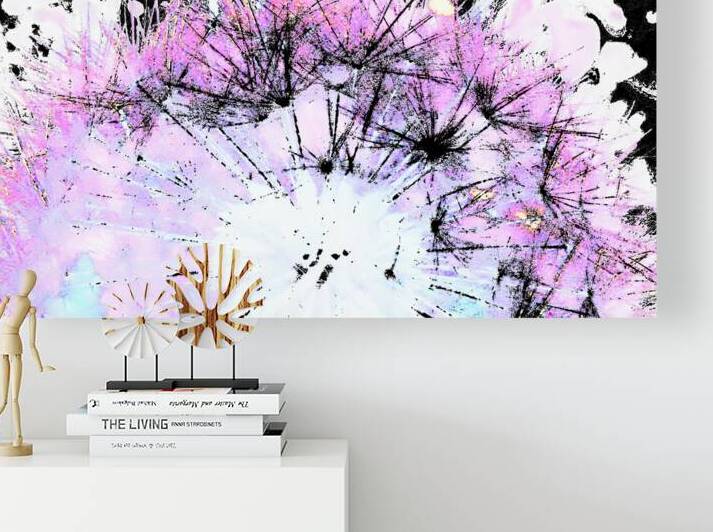 Abstract Pink and Black Dandelion by Catriona Roberts Nature Photography and Designs